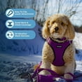 thumbnail image 3 of Voyager Step-in Air All Weather Mesh Harness and Reflective Dog 5 ft Leash Combo with Neoprene Handle, for Small, Medium and Large Breed Puppies - Purple/Black Trim, Large, 3 of 9