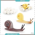 thumbnail image 4 of 4pcs Creative Snail Growth Cycle Model Toys Unique Design Simulation Animals Models Comptiable With Kids Scientific Cognitive Toys, 4 of 5