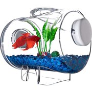 Aqua Culture Aquarium