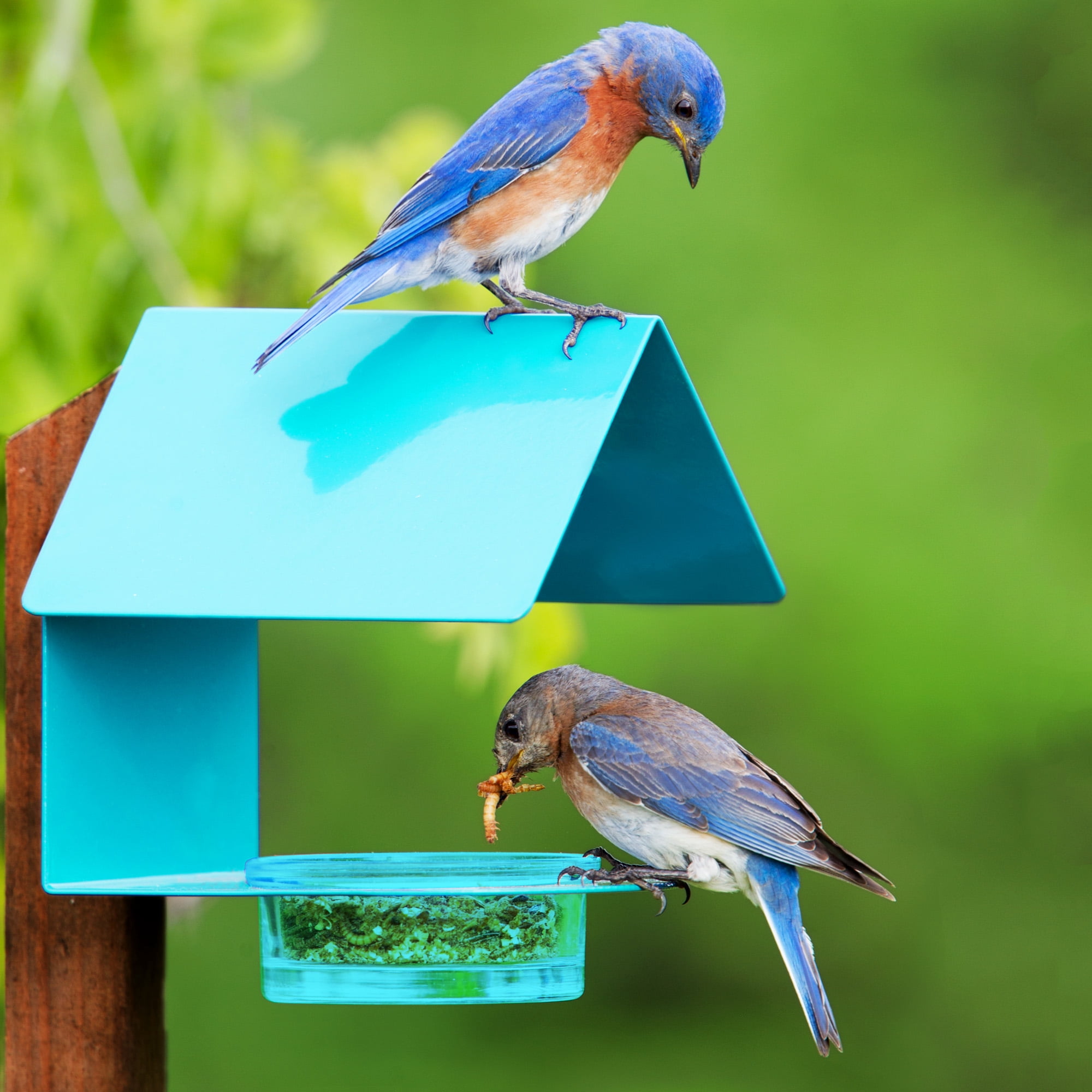 Mosaic Birds Recycled Glass & Metal Bird Feeder Outdoor - Hanging Bird House Feeder for Oriole, Finch - Aqua Blue