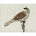 thumbnail image 3 of Murdock, Ramona 24x20 Black Modern Framed Museum Art Print Titled - Mockingbird Medley IV, 3 of 5