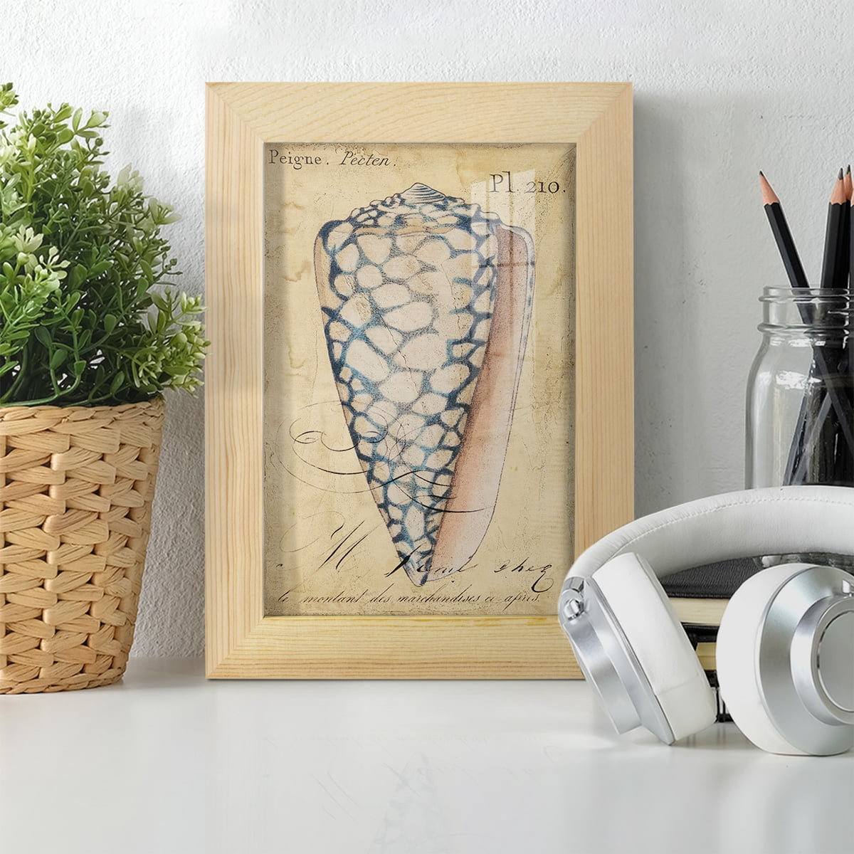 Seashell Ephemera IV - Framed Print w/glass - Natural Wood