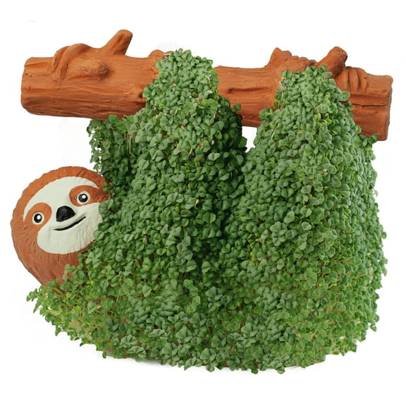Sloth Classic Chia Pet Handmade Decorative Planter by JEI