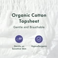 thumbnail image 6 of Rael Certified Organic Cotton Disposable Period Underwear, for Heavy Flows, Size S/m, 5 Count, 6 of 9