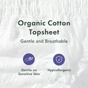 Rael Certified Organic Cotton Disposable Period Underwear, for Heavy Flows, Size S/m, 5 Count
