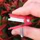 thumbnail image 5 of Juego de 10 cuchillos de jardín manuales, cortador de verduras, multiusos, rebanador de pepinos, cuchillos de jardín para huerto, para jardinería, para cocina, con mango ergonómico,, 5 of 9