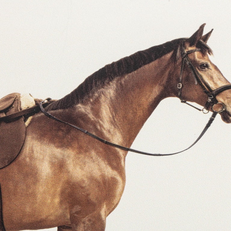 My Texas House Brown Horse Framed Art 14x11 - Walmart.com