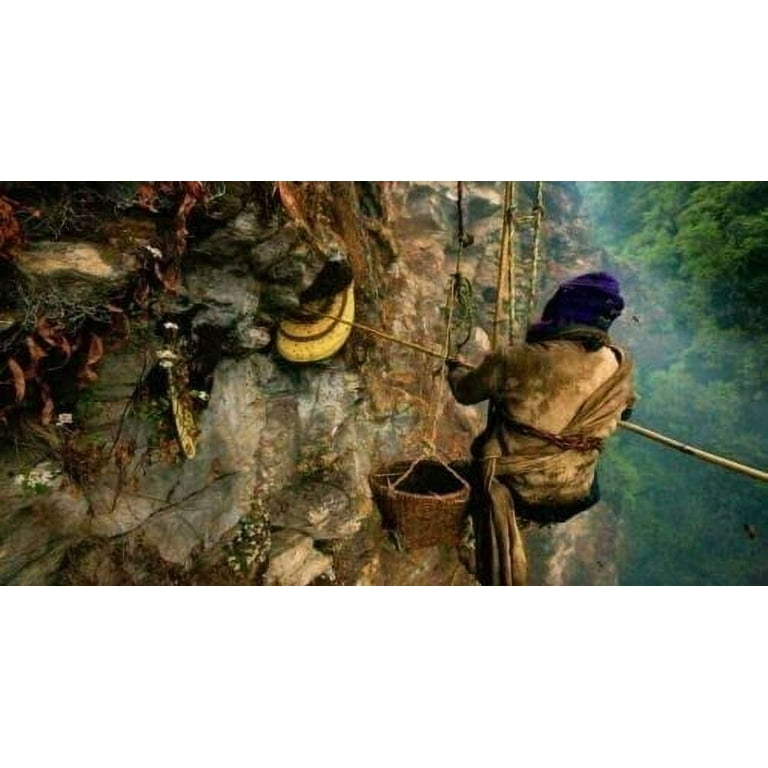 Fresh Wild Himalayan Cliff Shilajit Honey Red Mad Honey Fresh Wild Himalayan Cliff Shilajit Honey Red Mad Honey
