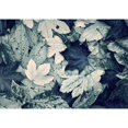 thumbnail image 3 of Incado 24x18 Black Modern Framed Museum Art Print Titled - Forest Floor, 3 of 5