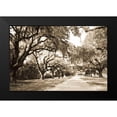 thumbnail image 2 of Hausenflock, Alan 24x17 Black Modern Framed Museum Art Print Titled - Charleston Oaks 10 Sepia, 2 of 5