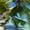 BEACH - PALMS IN SAND, variant on Mouse Pad Adhesive Bottom - Sticks to Any Surface - Portable - Webcam Covers and Screen Cleaner Included (Water Drop)