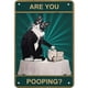 thumbnail image 1 of Placa de Metal Vintage de hierro, pintura Rectangular de gato divertido, Arte de la pared Decoración, 20x30cm, 1 of 9
