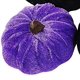 thumbnail image 1 of Decoración de calabaza de franela de simulación para Halloween, paño colorido, Festival de fantasmas de calabaza, feliz fiesta de Helloween, Día de Acción de Gracias, 1 of 4
