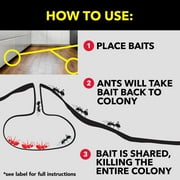Raid Ant Baits Indoor Ant Insect Killer Traps, 0.12oz, 4 Count