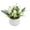 White, variant on Beforeyayn Artificial Miniature Potted Plants Ornament, Tulips Bonsai For Indoor Decor Lovers, Desktop Or Office Table, Fake Green Greenery For Home Decoration