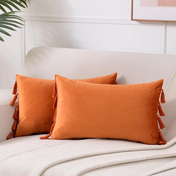 Ksopiavobs 2 Pack Fall Orange Lumbar Decorative Throw Pillow Covers 12x20 Inch with Tassels for Living Room Couch Bedroom, Soft Velvet Solid Rectangle Cushion Case 30x50 cm, Boho Home Decor