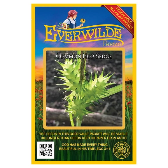 Everwilde Farms - 80 Common Hop Sedge Native Grass Seeds - Gold Vault Seed Packet