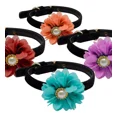 thumbnail image 1 of Collar Para Perro Pequeño Terciopelo Flor Set 2 Pzs Mascotas, 1 of 7