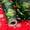 Green - Dinosaur, variant on Burymento Green Christmas Wrapping Paper, Holographic Gold Snowflake Christmas Gift Wrapping Paper, Reversible Red Tartan Plaid Xmas Gift Wrap for Winter Holiday, Party & Family (17 Inch X 32.8 Feet)