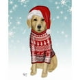 thumbnail image 3 of Fab Funky 15x18 Black Modern Framed Museum Art Print Titled - Golden Retriever in Christmas Sweater, 3 of 5