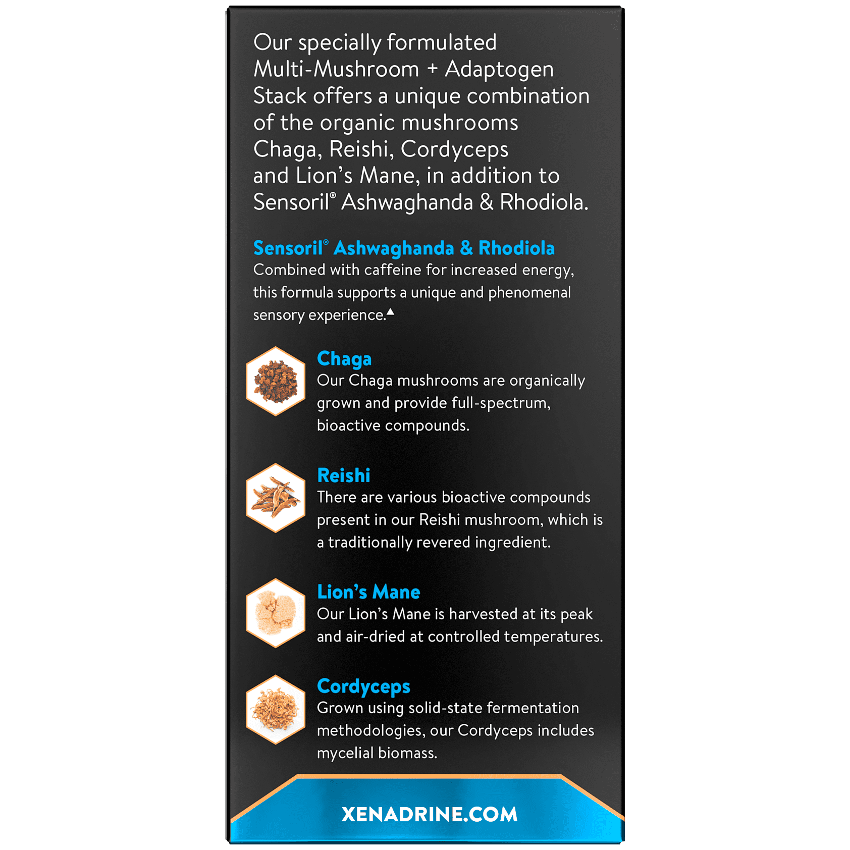 Multi Mushroom + Adaptogen Supplement - Chaga, Reishi, Cordyceps, Lions Mane and Ashwaganda - Energy and Enhanced Focus, 28 servings (84ct)