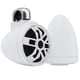 thumbnail image 1 of Bocinas de Torre Marinas Wet Sounds AXIS-ICON 8-W 300W 8PLG, 1 of 9