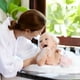 thumbnail image 2 of 2 uds esponjas de unicornio esponja de animales esponja de baño para niños esponja de baño para niñas esponja exfoliante Bola de baño, 2 of 5
