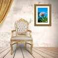 thumbnail image 3 of Engelbrecht, Lisa S. 17x24 Gold Ornate Wood Framed with Double Matting Museum Art Print Titled - White Plumeria, 3 of 4