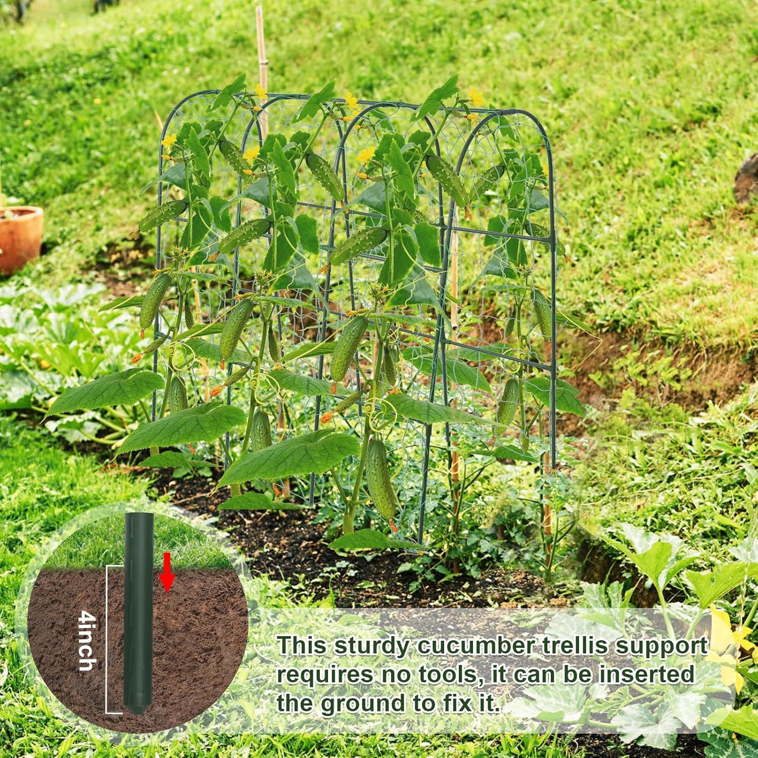 Cucumber Trellis for Raised Bed,U-Shape Garden Climbing Plants Outdoor, Metal Arch Vegetables, Plant Support Vine,Tomato, Pea (Green, 49.6" L×30" W×47.2" H)