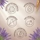 thumbnail image 4 of LOCION CORPORAL NUTRITIVA CON EXTRACTO NATURAL DE GINSENG Y ESENCIA DE LAVANDA FRANCESA  SUPERFOODS 500 ML, 4 of 5