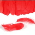 thumbnail image 3 of 600PCS Red Feathers, 3-4.7 inch Feathers Bulk for DIY Crafts Wedding Halloween Costume Party Decorations Dream Catcher Supplies, 3 of 7