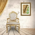 thumbnail image 3 of Jaynes Gallery 17x24 Gold Ornate Wood Framed with Double Matting Museum Art Print Titled - Caribbean-Trinidad-Caroni Swamp Bats lined up on tree, 3 of 4
