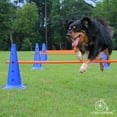Lord Anson trade; Dog Agility Hurdle Cone Set Canine Agility Training