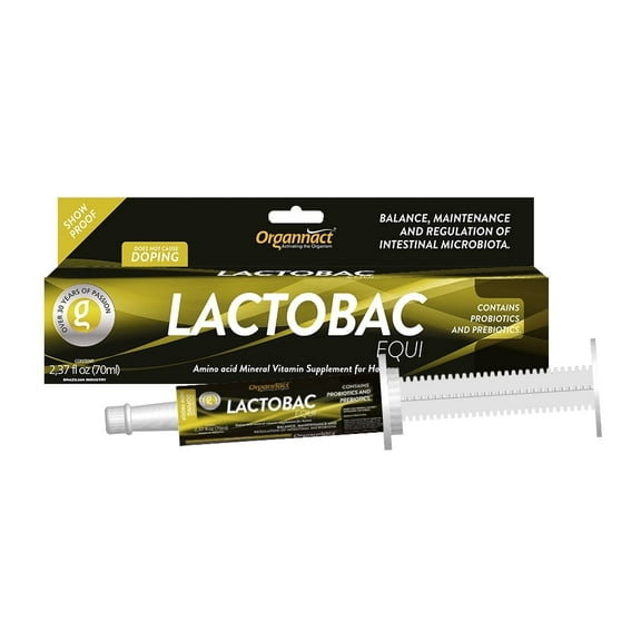 Organnact LACTOBAC EQUI to improve horses' intestinal health and the absorption of nutrients