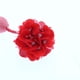 thumbnail image 3 of Aretes Flor Europeo y Americano Moda Accesorios Oreja Caliente ciruela, 3 of 9