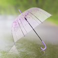 thumbnail image 1 of transparente , resistente a , ligero, Sakura, transparente con burbujas, para viajes en la calle, , Violeta Soledad Paraguas transparentes, 1 of 10