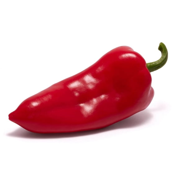 Sherwood's Seeds 10 Kapia Paprika Sweet Turkish Pepper Plant Seeds