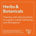 thumbnail image 4 of Suplementos NOW Foods de clorella orgánica en polvo, 454 g, 4 of 4