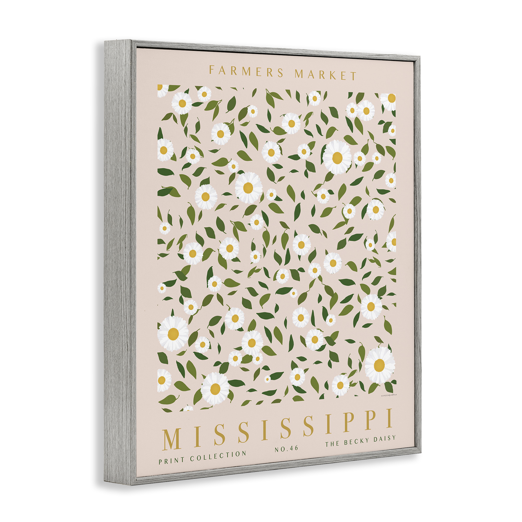 Stupell Industries Mississippi Daisy Pattern Typography Painting Gray Framed Art Print Wall Art, 16 x 20