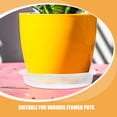 thumbnail image 3 of TEHAUX 10 Pcs Bac à Litière en Plastique Transparent Rond Protection de Sol pour Jardinage Usage Intérieur, 3 of 8
