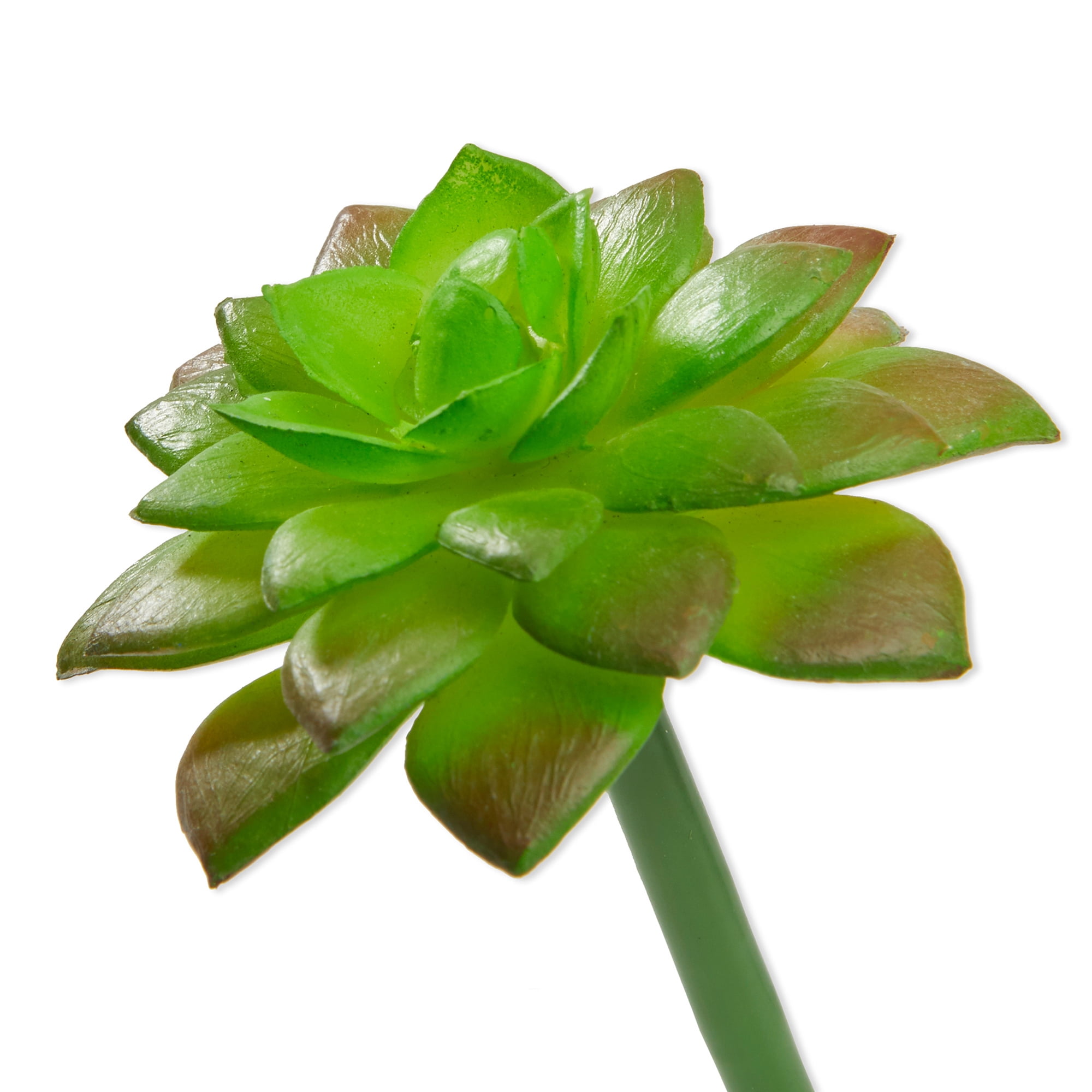 FloraCraft 3.5" Artificial Soft-touch Echeveria Bouquet