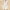 White, variant on AOOCHASLIY Miss Dress Fall Clearance Women Fashion Long Sleeve Solid Cotton Linen Round Neck Pocket Dress