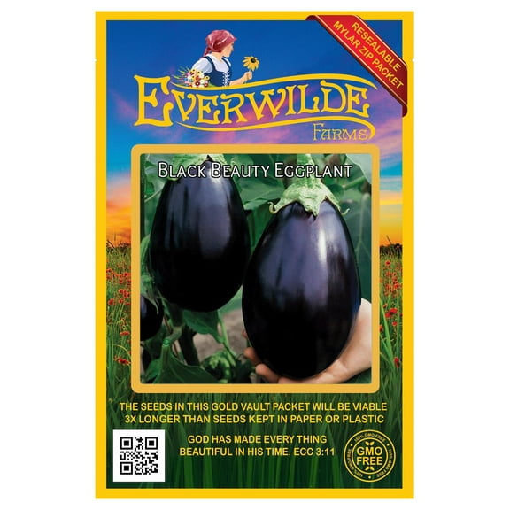 Everwilde Farms - 250 Black Beauty Eggplant Seeds - Gold Vault Jumbo Bulk Seed Packet