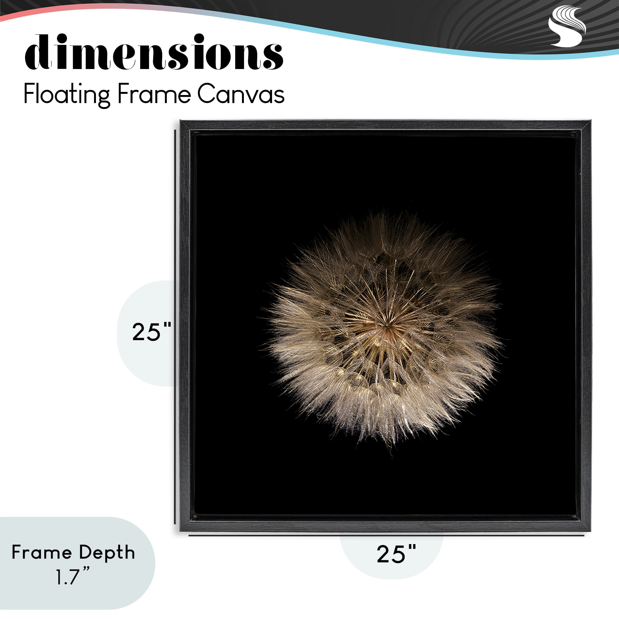 Stupell Industries Wispy Dandelion on Black Black Framed Floater Canvas Wall Art, design by Beth Adoette