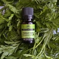 thumbnail image 4 of Plantlife Parsley Herb Aromatherapy Essential Oil - Straight From The Plant 100% Pure Therapeutic Grade - No Additives or Fillers - 10 ml, 4 of 5