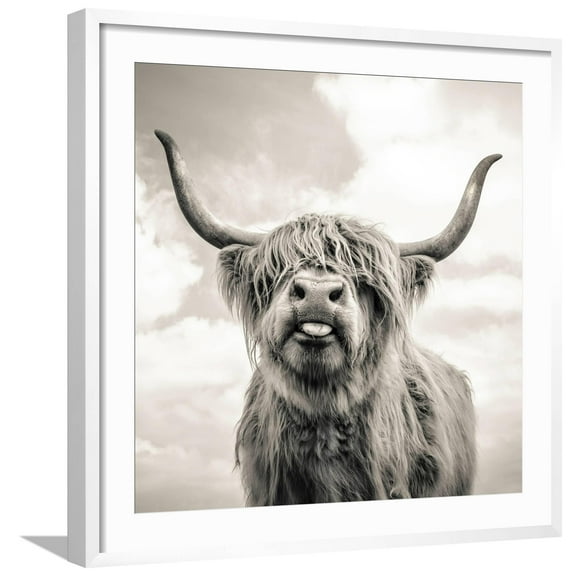 Art.com Close up portrait of Scottish Highland cattle on a farm Photographic Print by Mark Gemmell, White Frame Wall Art, 29" x 29"
