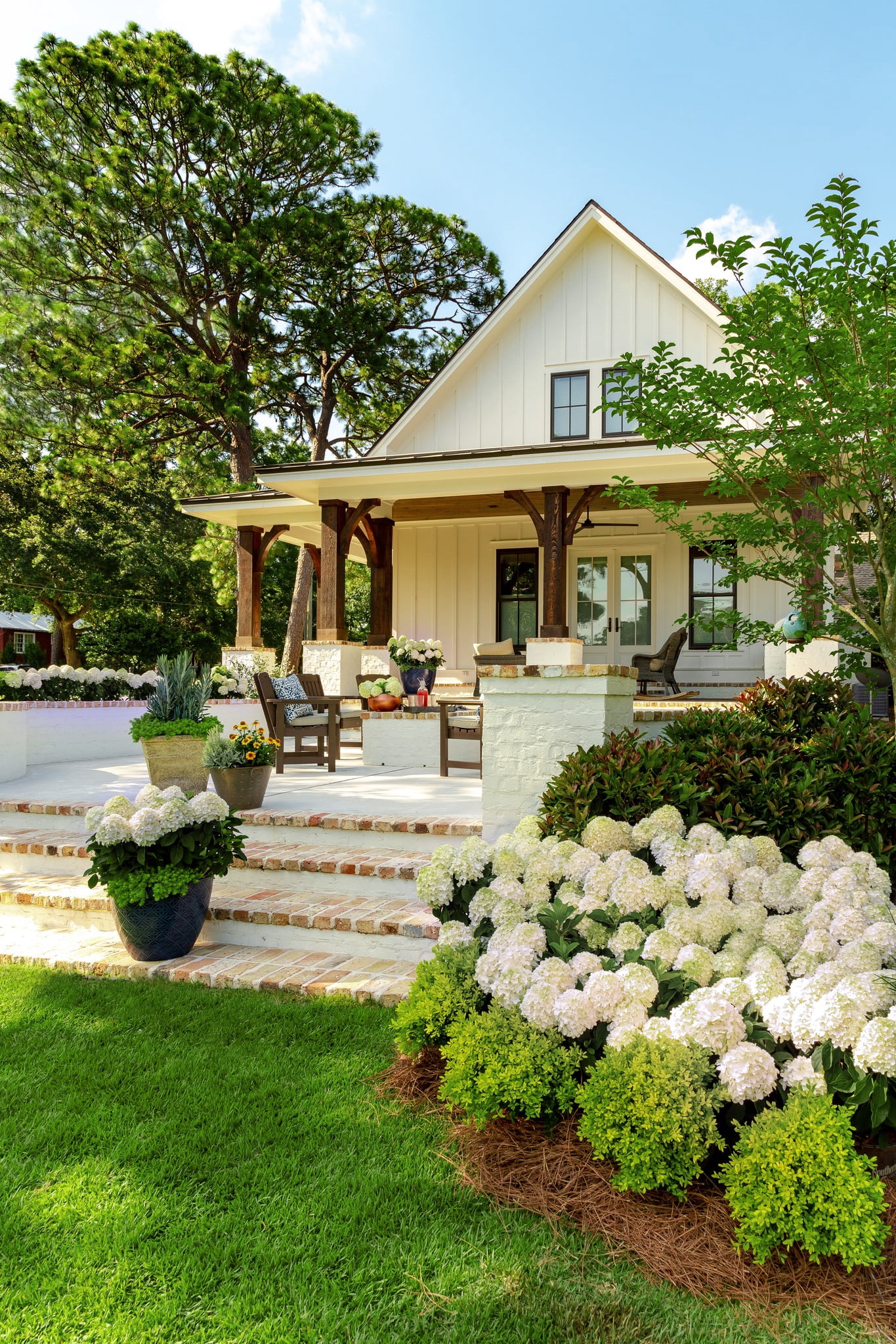 Southern Living Moon Dance Paniculata Hydrangea Live Shrub in 2-Gallon Grower Pot