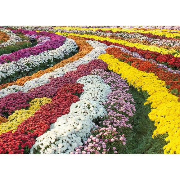 Puzzle 1000 Chrysanthemum Garden