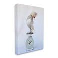 thumbnail image 3 of Stupell Industries White Bird Standing Vintage Kitchen Scale Photography Photograph Gallery Wrapped Canvas Print Wall Art, Design by Tania Soderman, 3 of 7