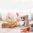 thumbnail image 2 of Plush Dog Toy Includes Plastic Noise-making Squeaker Dinosaur Shape Plush Toy, 2 of 2